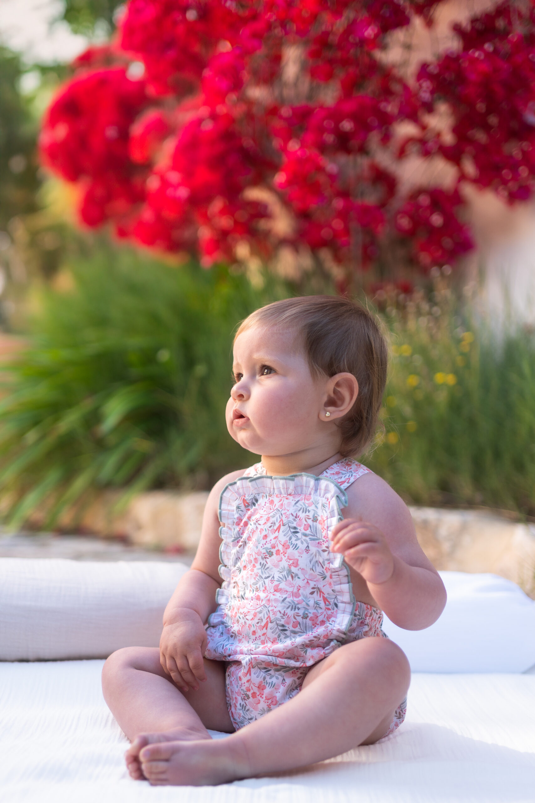 Peto Mumbai Mint Calamaro