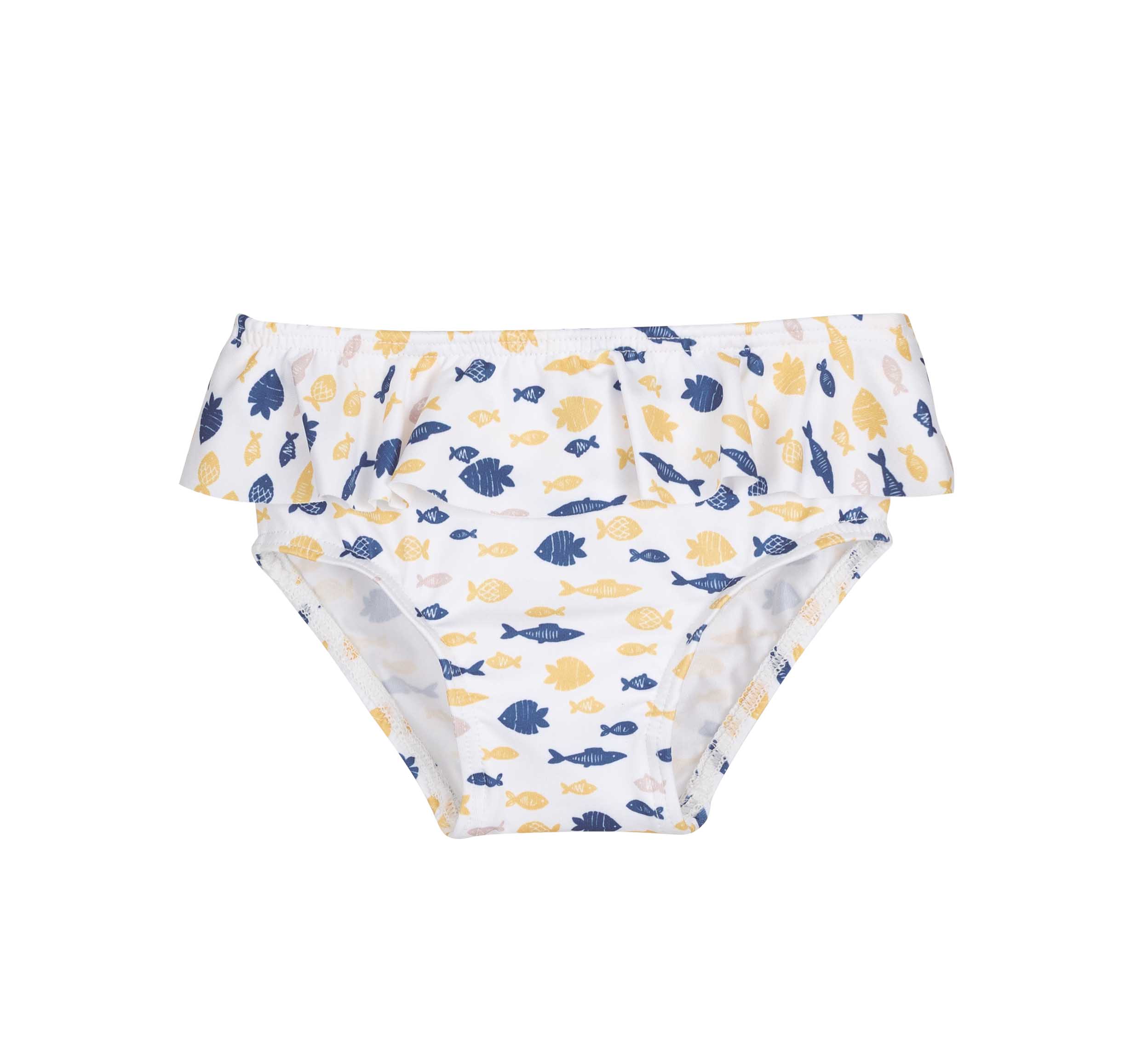 Culetin Peces Marino Calamaro