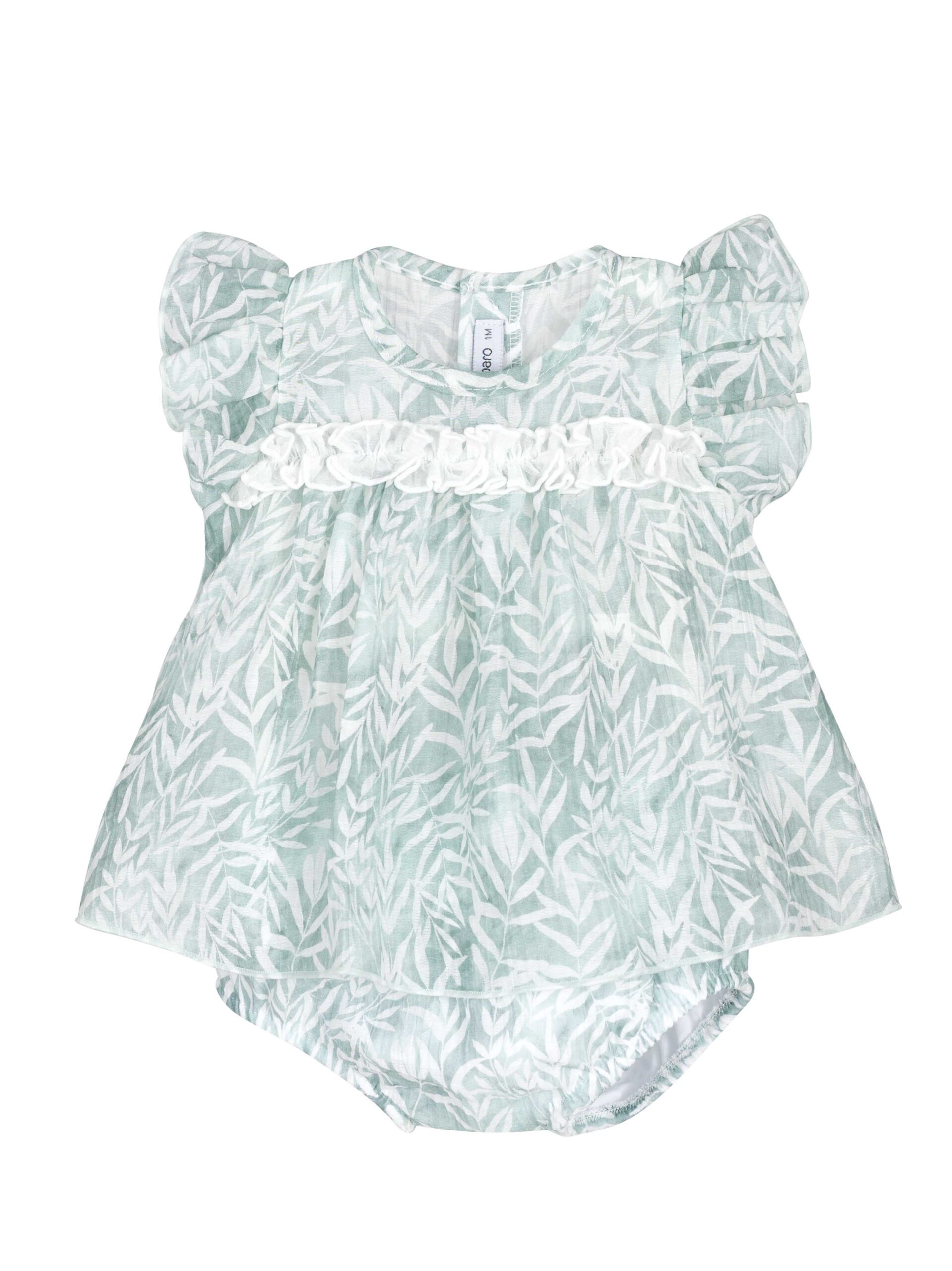 Jesusito Excellentt Varanasi Calamaro